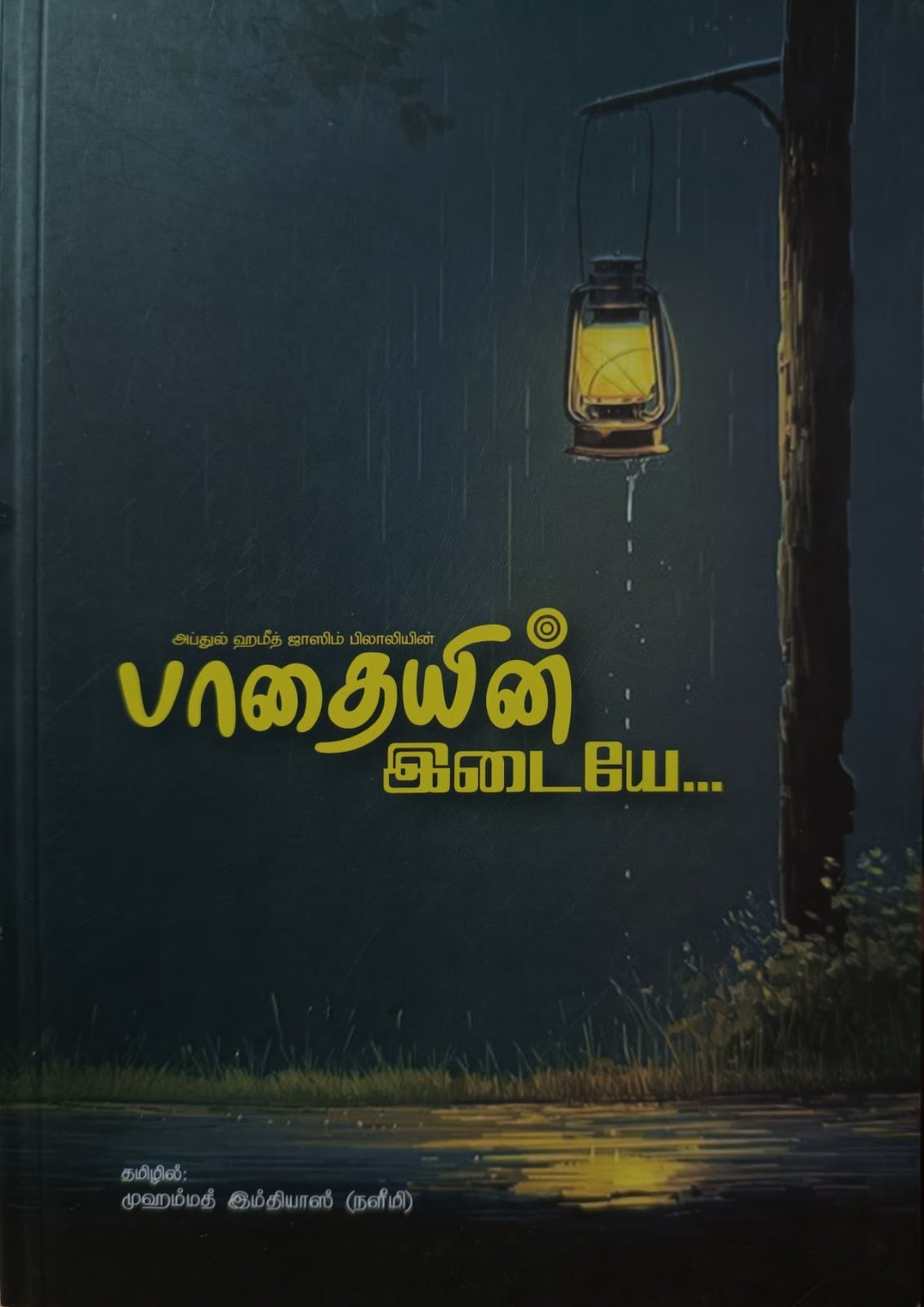 பாதையின் இடையே....